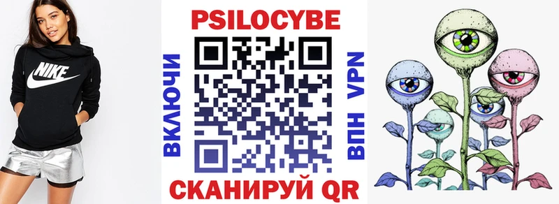 Купить где  Берёзовский  Галлюциногенные грибы Psilocybine cubensis 